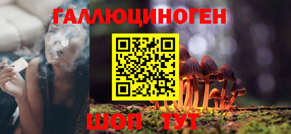 Ялта  где продают наркотики  Вход с VPN  Галлюциногенные грибы Magic Shrooms 